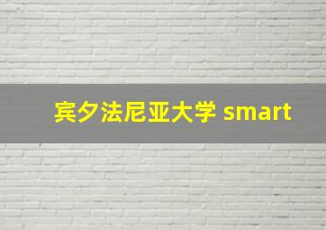 宾夕法尼亚大学 smart